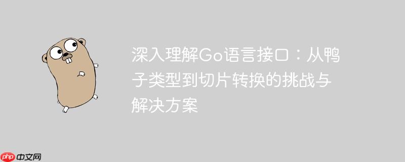 深入理解go语言接口:从鸭子类型到切片转换的挑战与解决方案