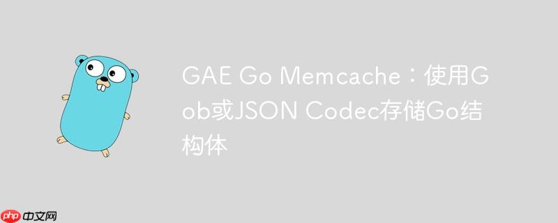GAE Go Memcache:使用Gob或JSON Codec存储Go结构体