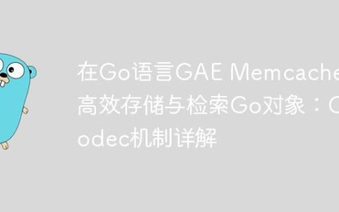在Go语言GAE Memcache中高效存储与检索Go对象：Codec机制详解