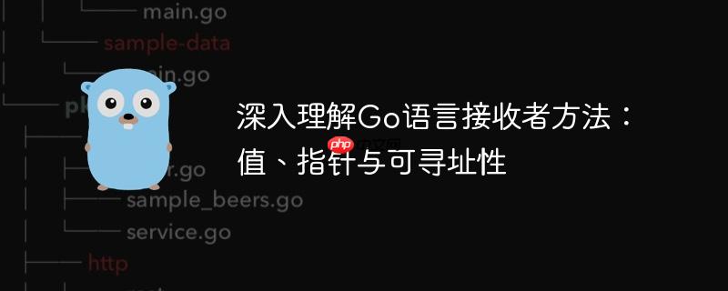 深入理解Go语言接收者方法：值、指针与可寻址性