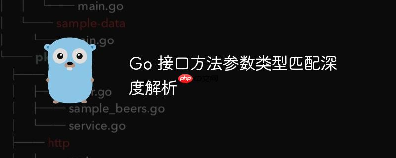 Go 接口方法参数类型匹配深度解析
