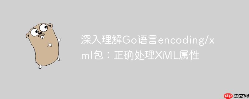 深入理解go语言encoding/xml包:正确处理xml属性