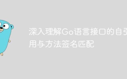 深入理解Go语言接口的自引用与方法签名匹配