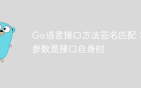 Go语言接口方法签名匹配：当参数是接口自身时