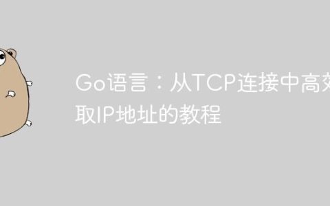 Go语言：从TCP连接中高效提取IP地址的教程