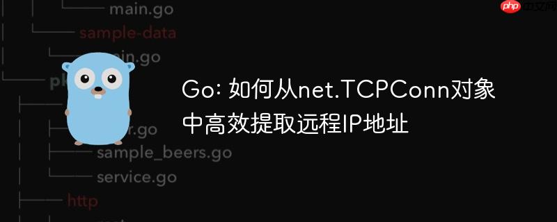 Go: 如何从net.TCPConn对象中高效提取远程IP地址