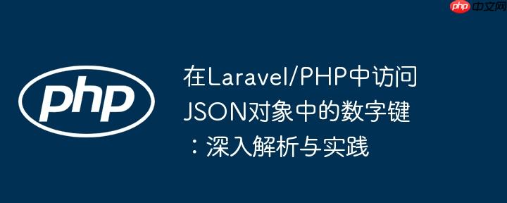 在laravel/php中访问json对象中的数字键:深入解析与实践