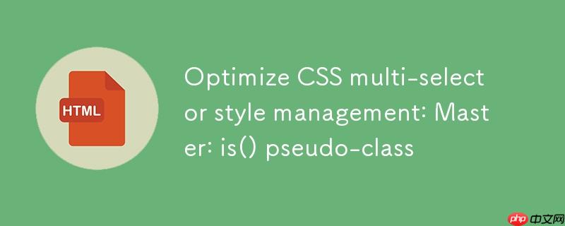 优化CSS多选择器样式管理:掌握:is()伪类