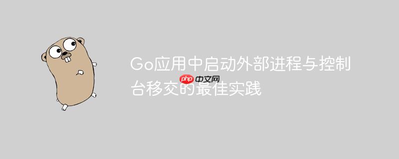 Go应用中启动外部进程与控制台移交的最佳实践