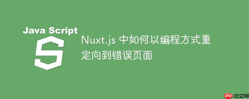 nuxt.js 中如何以编程方式重定向到错误页面