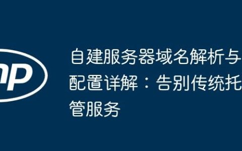 自建服务器域名解析与配置详解：告别传统托管服务