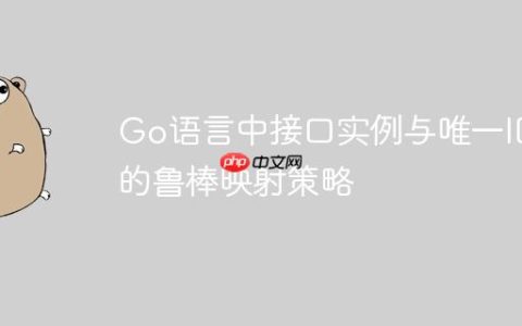 Go语言中接口实例与唯一ID的鲁棒映射策略
