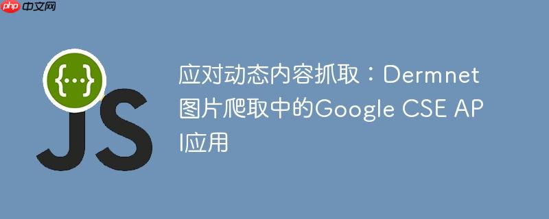 应对动态内容抓取:Dermnet图片爬取中的Google CSE API应用