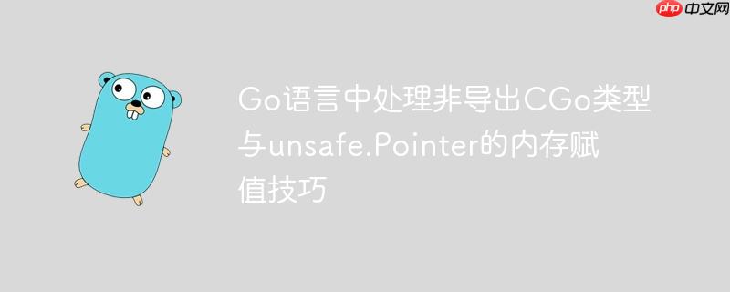 Go语言中处理非导出CGo类型与unsafe.Pointer的内存赋值技巧