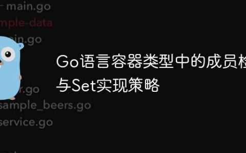 Go语言容器类型中的成员检测与Set实现策略