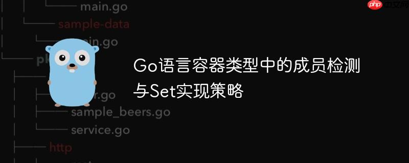 Go语言容器类型中的成员检测与Set实现策略