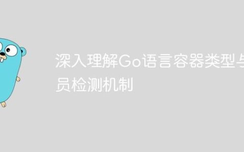 深入理解Go语言容器类型与成员检测机制