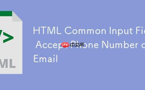 HTML通用输入字段：接受电话号码或电子邮件