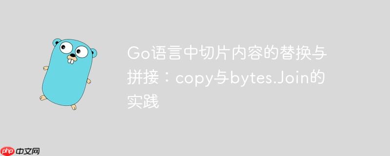 Go语言中切片内容的替换与拼接:copy与bytes.Join的实践