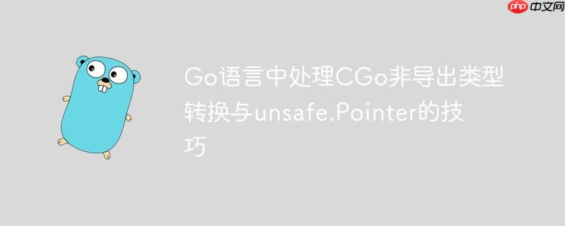 Go语言中处理CGo非导出类型转换与unsafe.Pointer的技巧