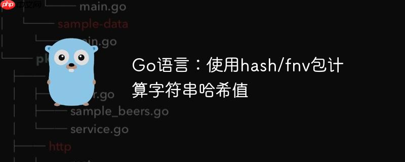 Go语言:使用hash/fnv包计算字符串哈希值