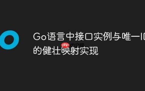 Go语言中接口实例与唯一ID的健壮映射实现
