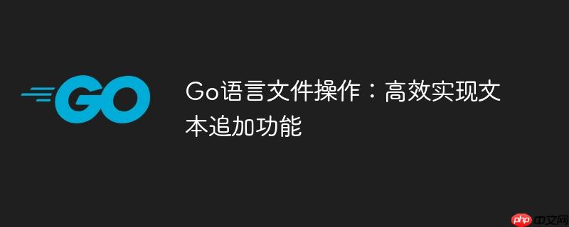 Go语言文件操作：高效实现文本追加功能
