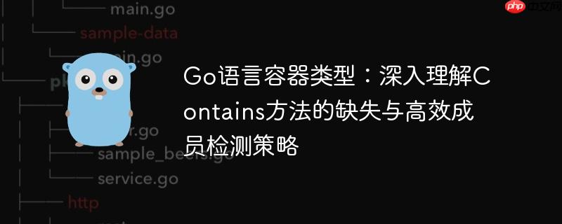 Go语言容器类型:深入理解Contains方法的缺失与高效成员检测策略