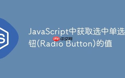 JavaScript中获取选中单选按钮(Radio Button)的值