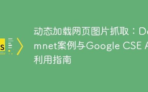 动态加载网页图片抓取：Dermnet案例与Google CSE API利用指南