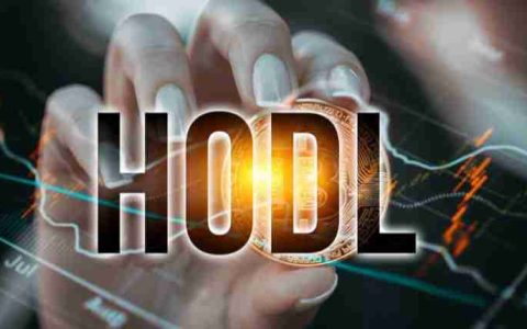 加密货币中的HODL(Hold On for Dear Life)是什么?如何影响金融文化?一文详解