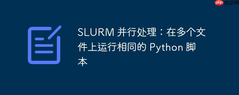 slurm 并行处理:在多个文件上运行相同的 python 脚本