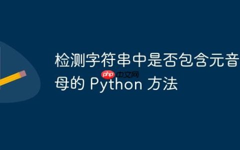 检测字符串中是否包含元音字母的 Python 方法