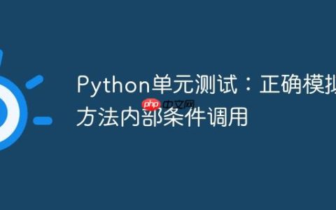 Python单元测试：正确模拟类方法内部条件调用