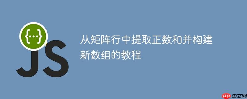 从矩阵行中提取正数和并构建新数组的教程