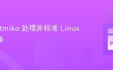 使用 Netmiko 处理非标准 Linux CLI 设备