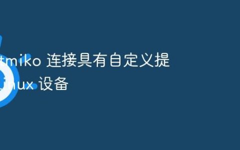 使用 Netmiko 连接具有自定义提示符的 Linux 设备