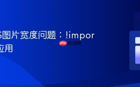 解决CSS图片宽度问题：!important 的应用
