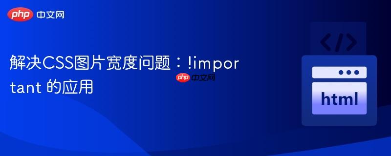 解决css图片宽度问题:!important 的应用