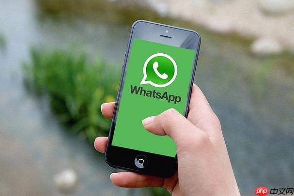 WhatsApp双重验证设置入口-WhatsApp安全增强中文官网教程