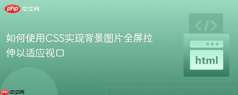 如何使用CSS实现背景图片全屏拉伸以适应视口