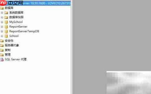 SQL Server 2005附加数据库方法