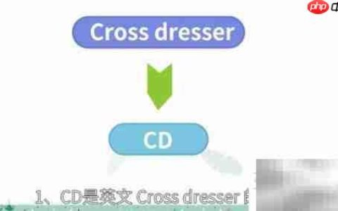 CD是什么意思？一文读懂