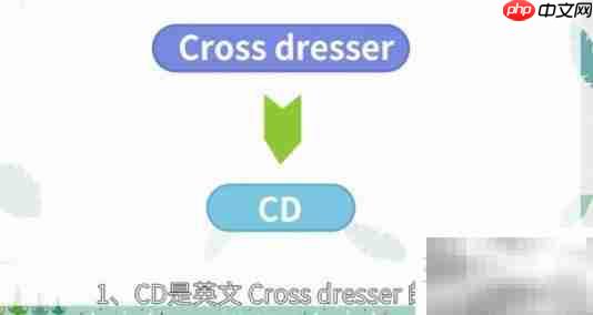 CD是什么意思?一文读懂