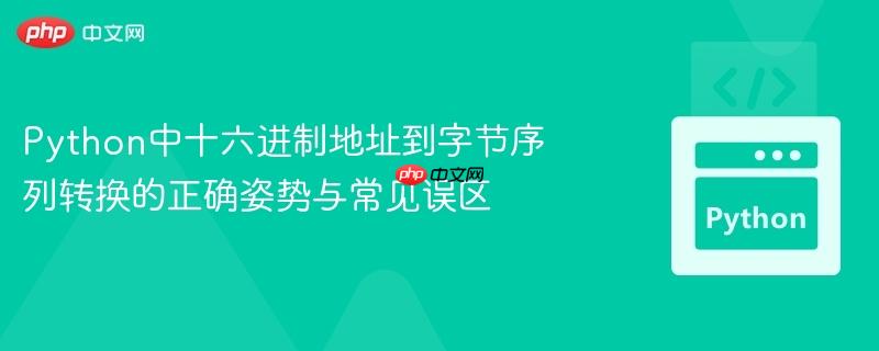 Python中十六进制地址到字节序列转换的正确姿势与常见误区