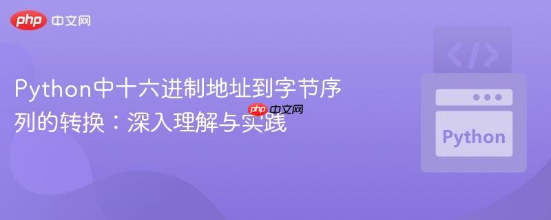 Python中十六进制地址到字节序列的转换:深入理解与实践