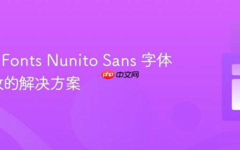 Google Fonts Nunito Sans 字体权重失效的解决方案