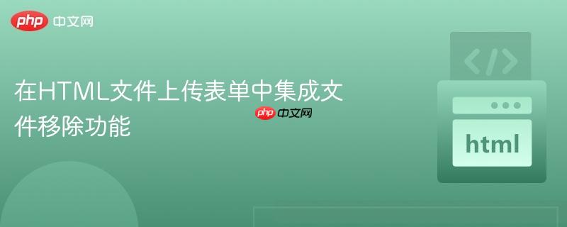 在html文件上传表单中集成文件移除功能