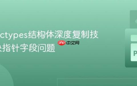 Python ctypes结构体深度复制技巧：解决指针字段问题