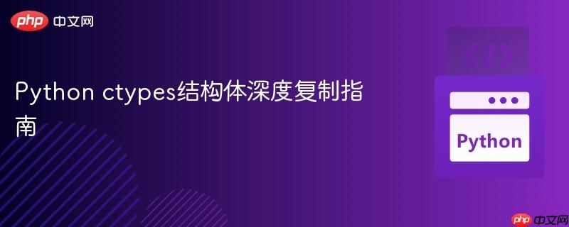 Python ctypes结构体深度复制指南